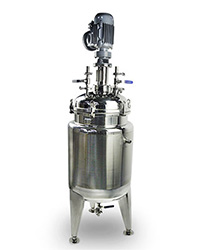 <b>Stainless steel reactor vessel</b>