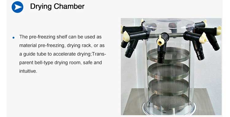 drying chamber drying chamber