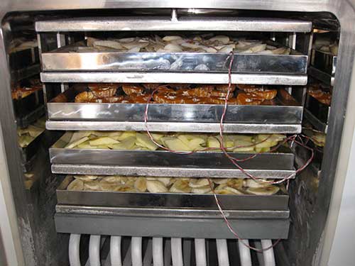 fruit freeze dryer