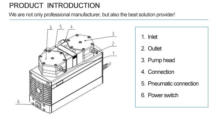 P20 diaphragm pump introduction