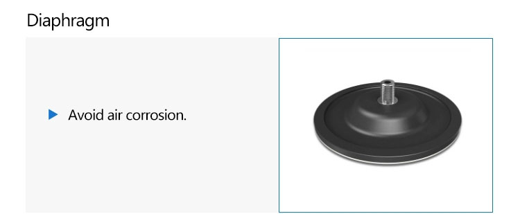 diaphragm diaphragm