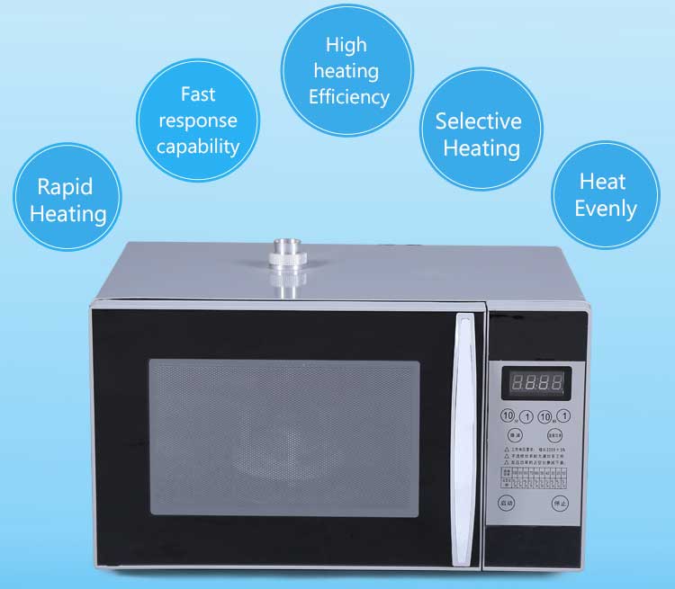 microwave ultrasonic reactor