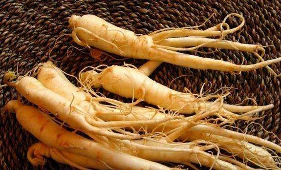 Ginseng Ginseng