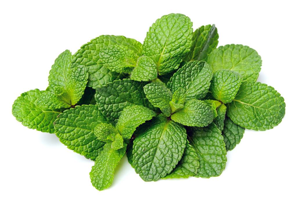 mint mint