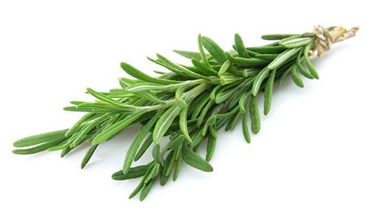 Rosemary Rosemary