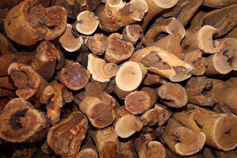 sandalwood sandalwood